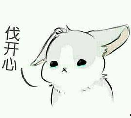 兔子吃瓜鄙视表情包,笑谈人间百态