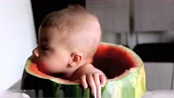 搞笑吃瓜橡皮,带你领略趣味生活新境界