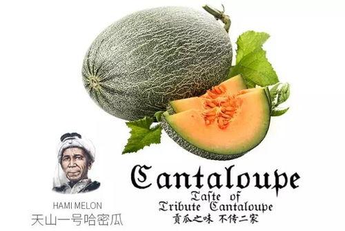 一瓜三吃之密瓜冰沙,创意密瓜冰沙，夏日清凉新体验