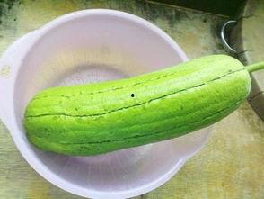 梦到吃炒水瓜,揭秘炒水瓜的神秘寓意