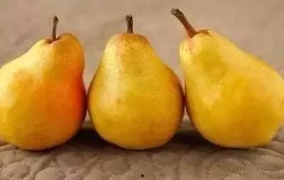 吃蜜不吃姜_吃果不吃瓜,揭秘蜂蜜与水果的独特魅力