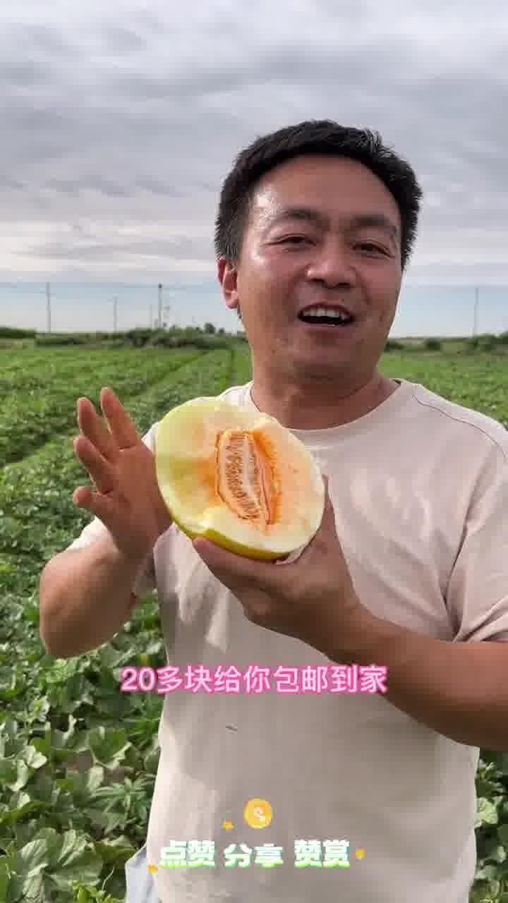 吃瓜来自中国,网络时代的舆论风向标