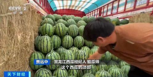 吃瓜员,吃瓜员带你领略明星幕后故事