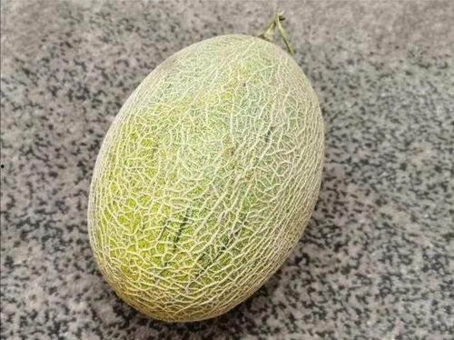 吃哈密瓜嗓子发痒,揭秘夏日消暑美食的潜在隐患